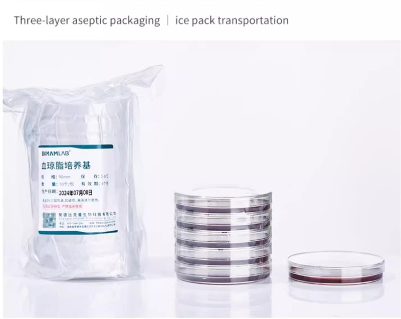 culture media 2 culture media 2