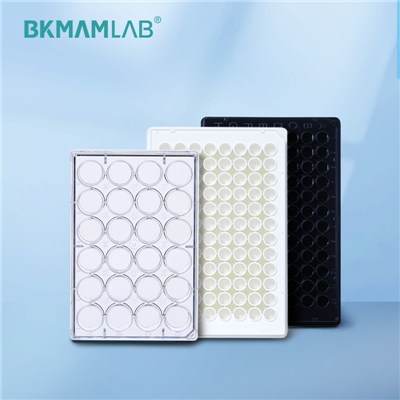 Labware plošča za kulturo celic s 96 jamicami